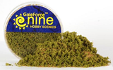 HOBBY ROUND: SPRING UNDERGROWTH (Special Order)