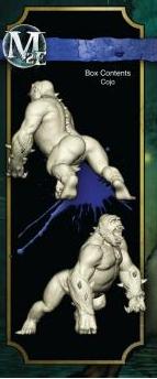 ARCANISTS 2E: COJO BOX (Special Order)