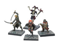 DUNGEON SAGA: HEROES OF KICKSTARTER (Special Order)