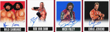 LEAF ORIGINALS WRESTLING 2017 (Special Order)
