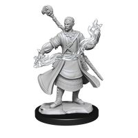 DND UNPAINTED MINIS WV14 HALF-ELF WIZARD MALE (Special Order)
