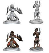 DND UNPAINTED MINIS WV20 SHIFTER FIGHTER (Special Order)