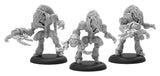 WARCASTER EMPYREAN SABER GUARDIANS SQUAD BOX (Special Order)