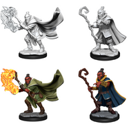 CR UNPAINTED MINIS WV1 HOBGOBLIN WIZARD/DRUID MALE (Special Order)