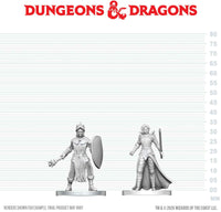 DND UNPAINTED MINIS WV29 BLACK GAUNTLET & ZHENTILAR PALADIN OF BANE (Special Order)