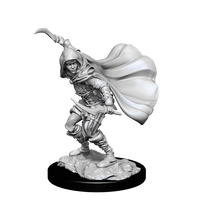 PF UNPAINTED MINIS WV14 HUMAN ROGUE FEMALE (Special Order)