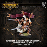 PROTECTORATE KNIGHTS EXEMPLAR SENESCHAL BLISTER (Special Order)