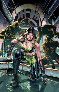 ROBYN HOOD: SHADOW TARGET - COVER B - IGOR VITORINO (Special Order)
