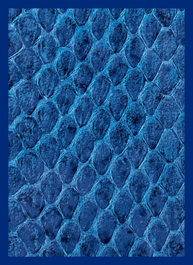 LEGION GLOSS SLEEVE DRAGON HIDE BLUE (50/120) (Special Order)