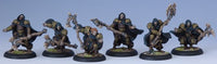 CIRCLE DRUIDS OF ORBOROS UNIT BOX (Special Order)