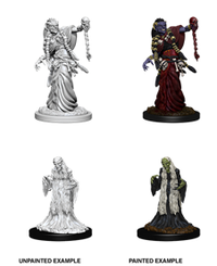 DND UNPAINTED MINIS WV6 GREEN HAG/NIGHT HAG (Special Order)
