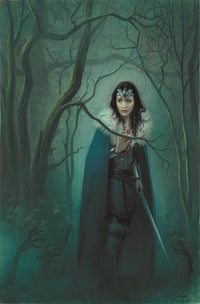 WONDER WOMAN #772 CVR B JOSHUA MIDDLETON CARD STOC (Special Order)