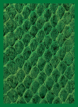 LEGION GLOSS SLEEVE DRAGON HIDE GREEN (Special Order)