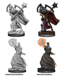 PF UNPAINTED MINIS WV6 LICHES (Special Order)