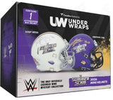 FANATICS UNDER WRAPS WWE SUMMER SLAM MINI HELMET 2026 (Special Order)
