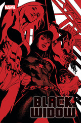 BLACK WIDOW #12 (Special Order)