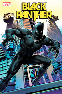 BLACK PANTHER #5 LAND VARIANT (Special Order)
