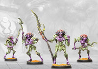 CONQUEST: WEAVER COURTS MORROWEN (Special Order)