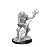 DND UNPAINTED MINIS WV14 KOALINTHS (Special Order)