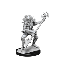 DND UNPAINTED MINIS WV14 KOALINTHS (Special Order)
