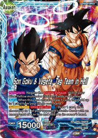 Son Goku // Son Goku & Vegeta, Tag Team in Hell (BT22-031) [Critical Blow] - POKÉ JEUX