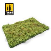 Ammo Mig Wilderness Fields with Bushes - Spring (Special Order)