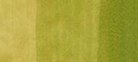 Copic Ciao Marker Yellow Greens, Yellow Green YG03 (Special Order)