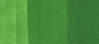 Copic Sketch Marker Greens, Nile Green G07 (Special Order)