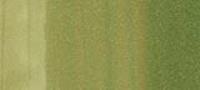 Copic Sketch Marker Greens, Willow G24 (Special Order)