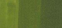 Copic Sketch Marker Greens, Pine Tree Green G29 (Special Order)