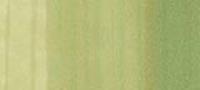 Copic Sketch Marker Greens, Spring Dim Green G82 (Special Order)