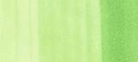 Copic Sketch Marker Yellow Greens, Salad YG05 (Special Order)