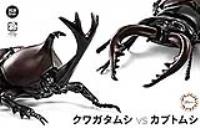 Fujimi Biology Edition Beetle vs Stag Beetle Showdown Set (Special Order)