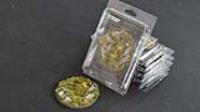 Gamers Grass Battle Ready Bases - Highland - Round 100mm (x1) (Special Order)