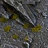 Gamers Grass Dark Moss Tiny Tuft (Special Order)