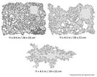 IWATA Artool Texture FX Freehand Airbrush Template (Special Order)