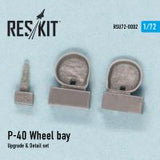 Res/Kit P-40 D,E.F,K,M,N Wheel bay (Special Order)