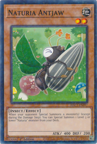 Naturia Antjaw (Duel Terminal) [HAC1-EN097] Commun 