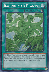 Raging Mad Plants [BP03-EN165] Shatterfoil Rare - POKÉ JEUX
