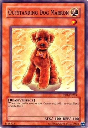 Outstanding Dog Marron [DR1-EN224] Common - POKÉ JEUX