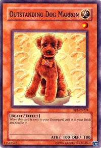 Outstanding Dog Marron [DR1-EN224] Common - POKÉ JEUX