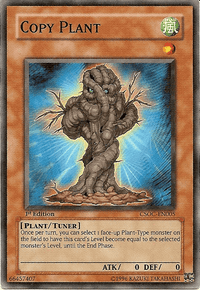 Copy Plant [CSOC-EN005] Common - POKÉ JEUX