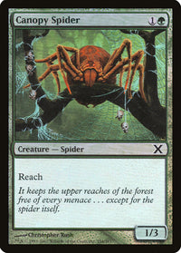 Canopy Spider (Premium Foil) [Tenth Edition]
