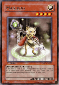 Magidog [TSHD-EN023] Rare - POKÉ JEUX