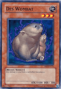 Des Wombat [DR3-EN211] Common - POKÉ JEUX