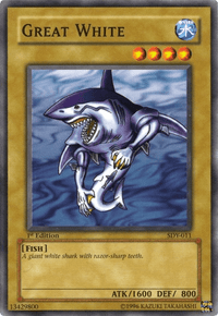 Great White [SDY-011] Common - POKÉ JEUX