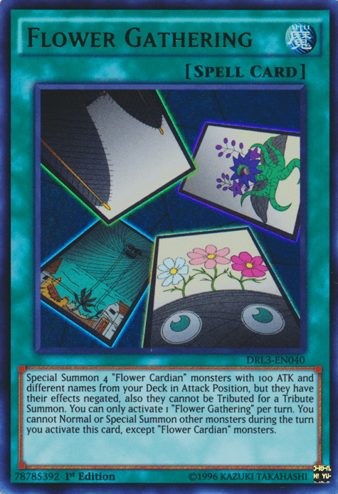 Flower Gathering [DRL3-EN040] Ultra Rare - POKÉ JEUX