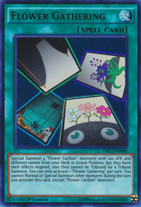 Flower Gathering [DRL3-EN040] Ultra Rare - POKÉ JEUX