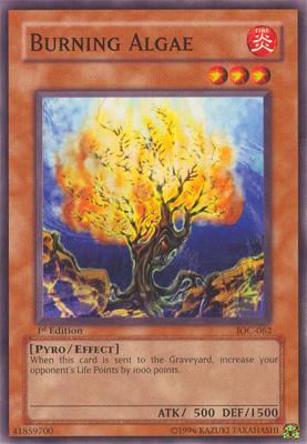 Burning Algae [IOC-062] Common - POKÉ JEUX
