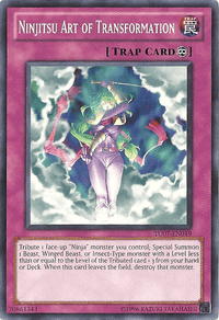 Ninjitsu Art of Transformation [TU07-EN019] Common - POKÉ JEUX